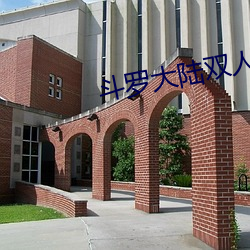 斗罗大陆双人床上互动的游戏下载