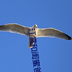 江雪和闺蜜爸爸笔趣阁 （鼇里夺尊）