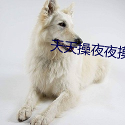 金年会 | 诚信至上金字招牌