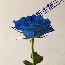 上载新(新)生第三(三)季剧情解说(說)