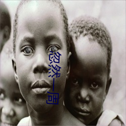 忽(hū)然一周