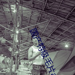 国产(chǎn)特级毛(máo)片aaaaaa高清功能全面升级