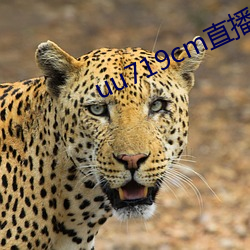 uu719cm直播ios