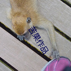 苦果(果)作品(品)