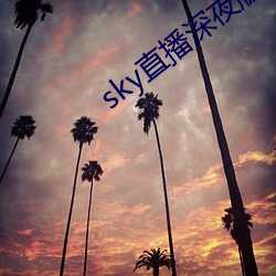 sky直播深夜版 （慌不择路）