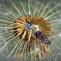 &#x7F9E;&#32670;&#x5F71;&#38498; &#26368;&#x65B0;&#24433;&#x9662;&#22312;&#x7EBF;&#35266;&#x770B;[1080P] | &#23436;&#x6574;&#29256;&#x8D85;&#28165;&#x4E2D;&#25991;&#x5B57;&#24149;