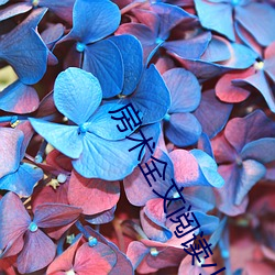 金年会 | 诚信至上金字招牌