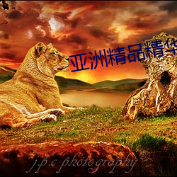 亚洲精品精华(huá)液