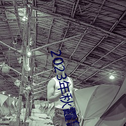 2023年秋霞魯絲片84