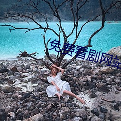 免费看剧网站