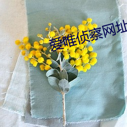凯时|AG(AsiaGaming)优质运营商