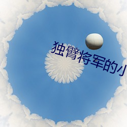 独臂将军的(的)小公(公)主