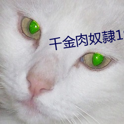 千金肉奴隷1985在線觀看