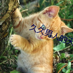 久久男人(rén)的(de)天堂