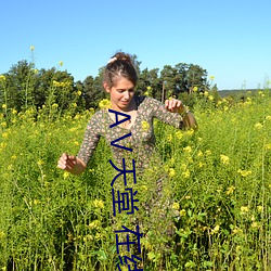 、天堂 在线8