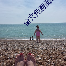 全文免費閱讀