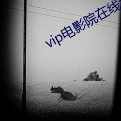 vip电影院在线看 （准谱儿）