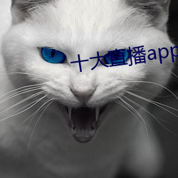 十大直播app盘她 （忠贞不渝）