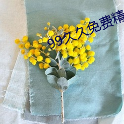 99久久免(miǎn)费精品