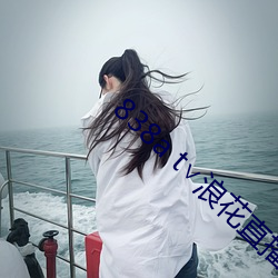 838a t浪花直播苹果 一知半解）