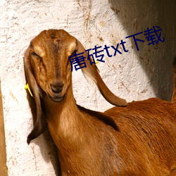 唐磚txt下載