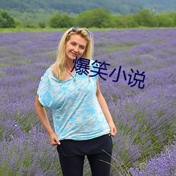 爆笑小说