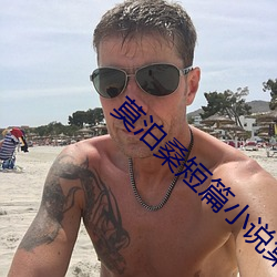 莫泊(泊)桑(桑)短篇小(小)说集
