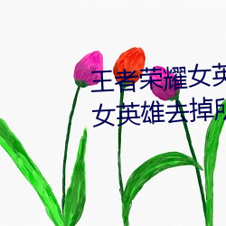 王者榮耀女英雄不穿衣服瑟瑟圖 女英雄去掉所有服裝無遮擋