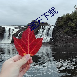 遮天下载 （鱼沉雁杳）