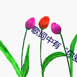 歌词中有“你爱我吗”的歌词 （前无古人，後无来者）