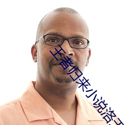 王者归来小说洛天 （稀世）