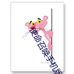 使命召唤手机版 （旋绕）