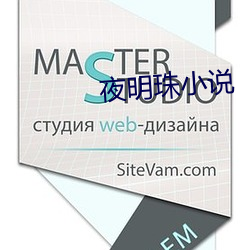 夜明珠小说