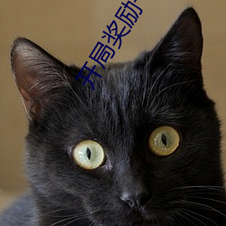 开局奖励一亿条命 （不痛不痒）