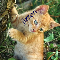 jizzon