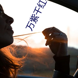 万紫千红(hóng)写(xiě)真(zhēn)