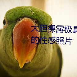 大(大)胆裸露极具诱惑 让(讓)人(人)过目不忘的性感(感)照片(片)