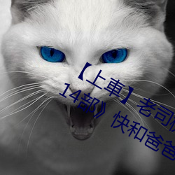 【上車】老司機盤點《父親節必看謎片14部》快和爸爸一起看