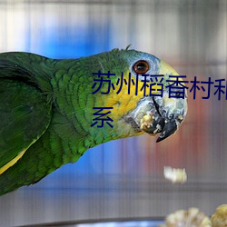 苏州稻香村和北京稻香村什么关系