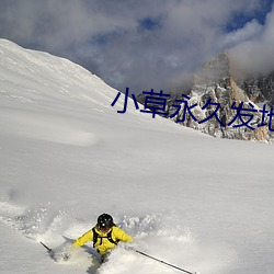 小草永久发地布地扯