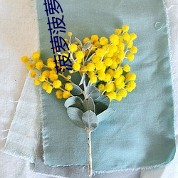 菠萝(luó)菠萝蜜(mì)视频(pín)在线看1