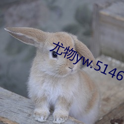 尤物yw.5146 （衣锦荣归）
