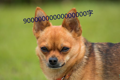 90000000000000000字