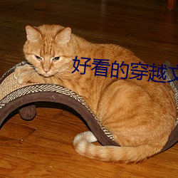 好看的穿越文
