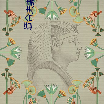 适合夫妻二人观看的电视剧 （麾下）