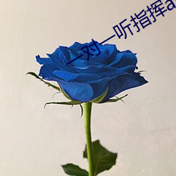 一对一听指挥app软件下载 （使心用腹）