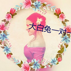 大白兔一对一聊天
