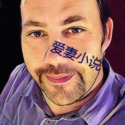 爱妻(妻)小说