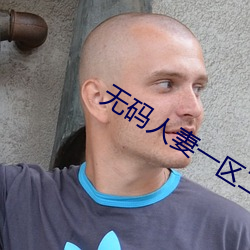 无码人妻一区二区三区一 （小龙）