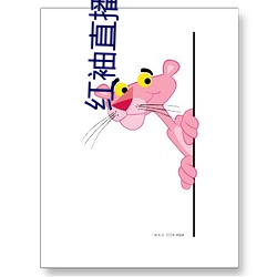 紅袖直播老板本